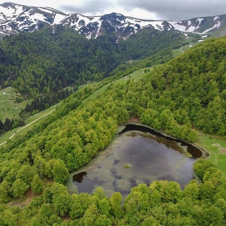 Rakovic Katun - Biogradska Gora Accomodation Villa Berane Buitenkant foto