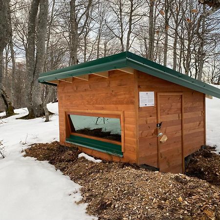 Rakovic Katun - Biogradska Gora Accomodation Villa Berane Buitenkant foto