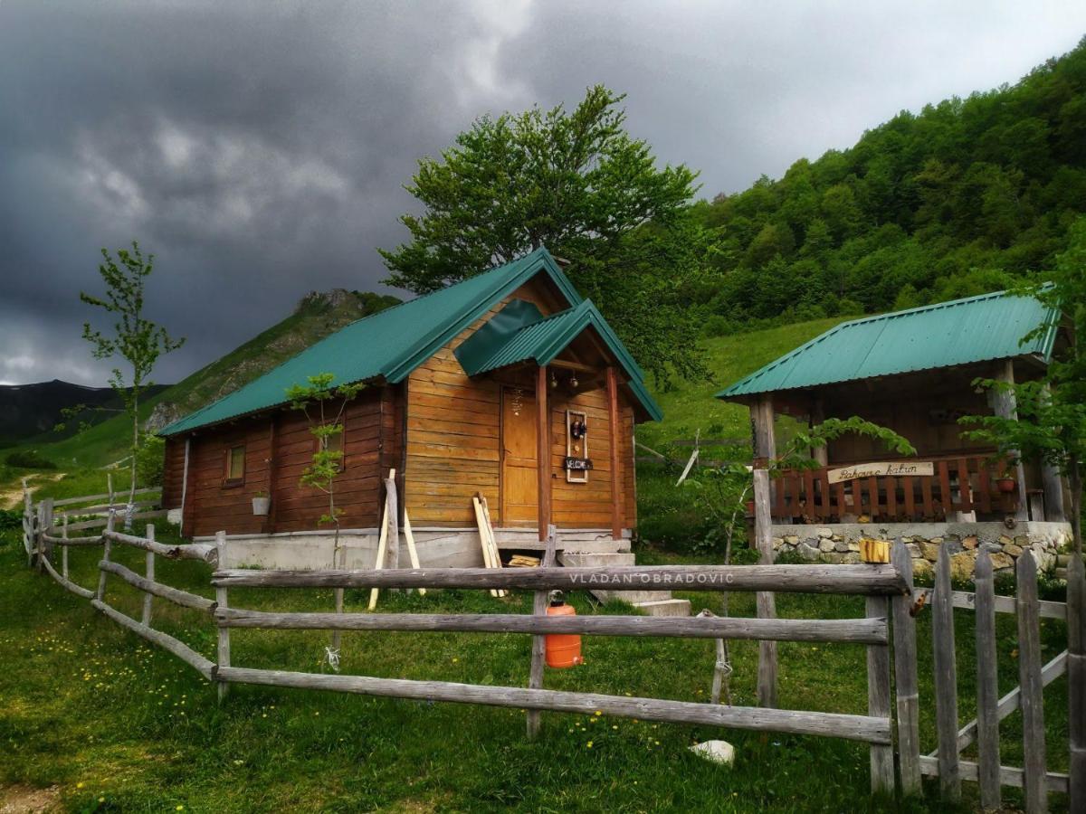 Rakovic Katun - Biogradska Gora Accomodation Villa Berane Buitenkant foto