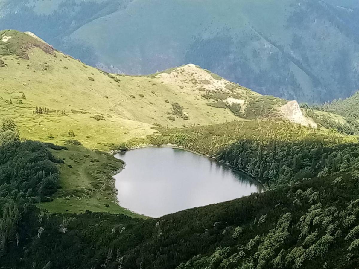 Rakovic Katun - Biogradska Gora Accomodation Villa Berane Buitenkant foto