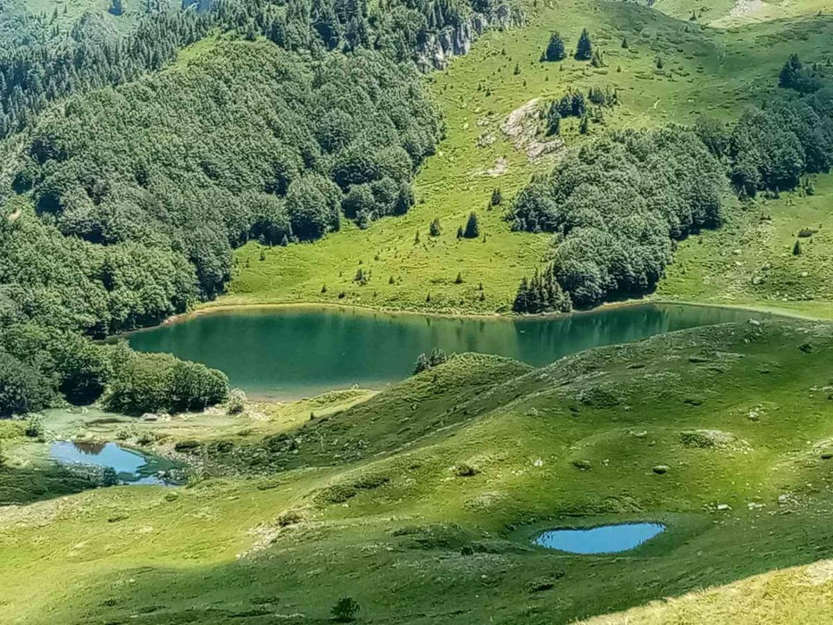 Rakovic Katun - Biogradska Gora Accomodation Villa Berane Buitenkant foto