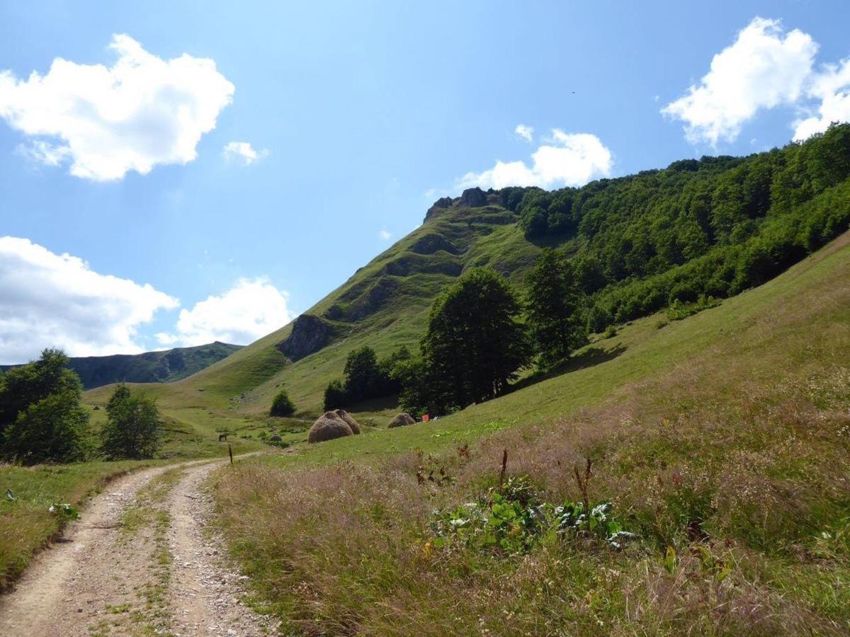 Rakovic Katun - Biogradska Gora Accomodation Villa Berane Buitenkant foto