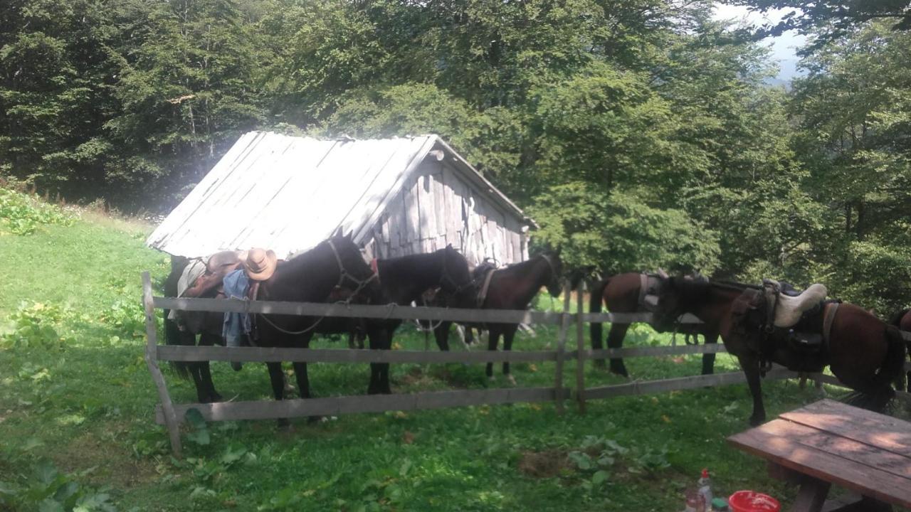 Rakovic Katun - Biogradska Gora Accomodation Villa Berane Buitenkant foto