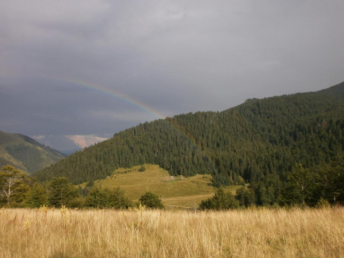 Rakovic Katun - Biogradska Gora Accomodation Villa Berane Buitenkant foto