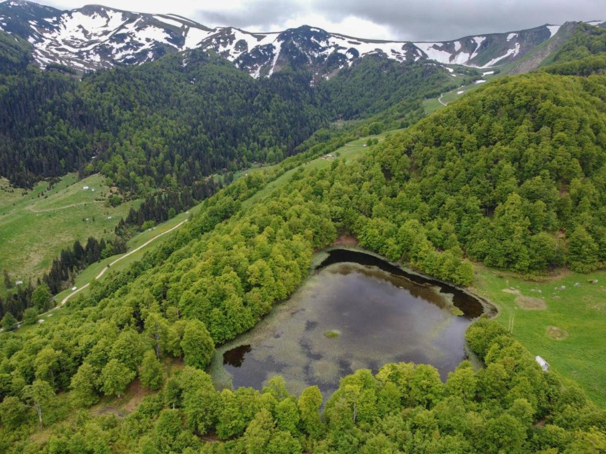 Rakovic Katun - Biogradska Gora Accomodation Villa Berane Buitenkant foto